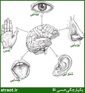 کاردرمانی یکپارچگی حسی یا si کاردرمانی آترا در کرج